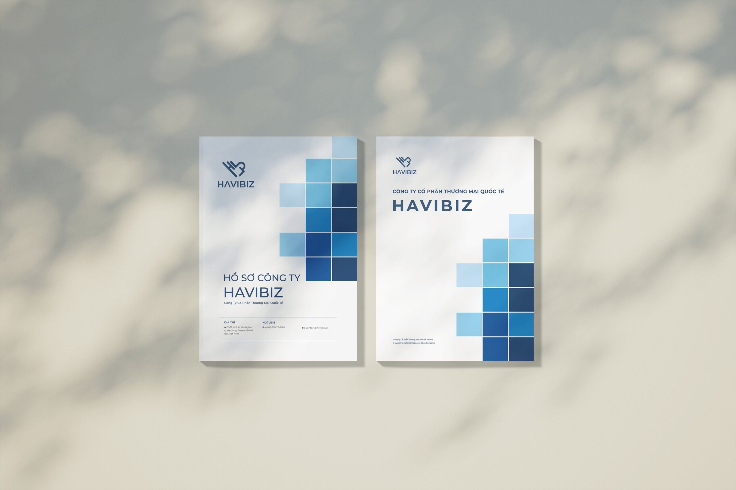 Profile thương mại quốc tế Havibiz