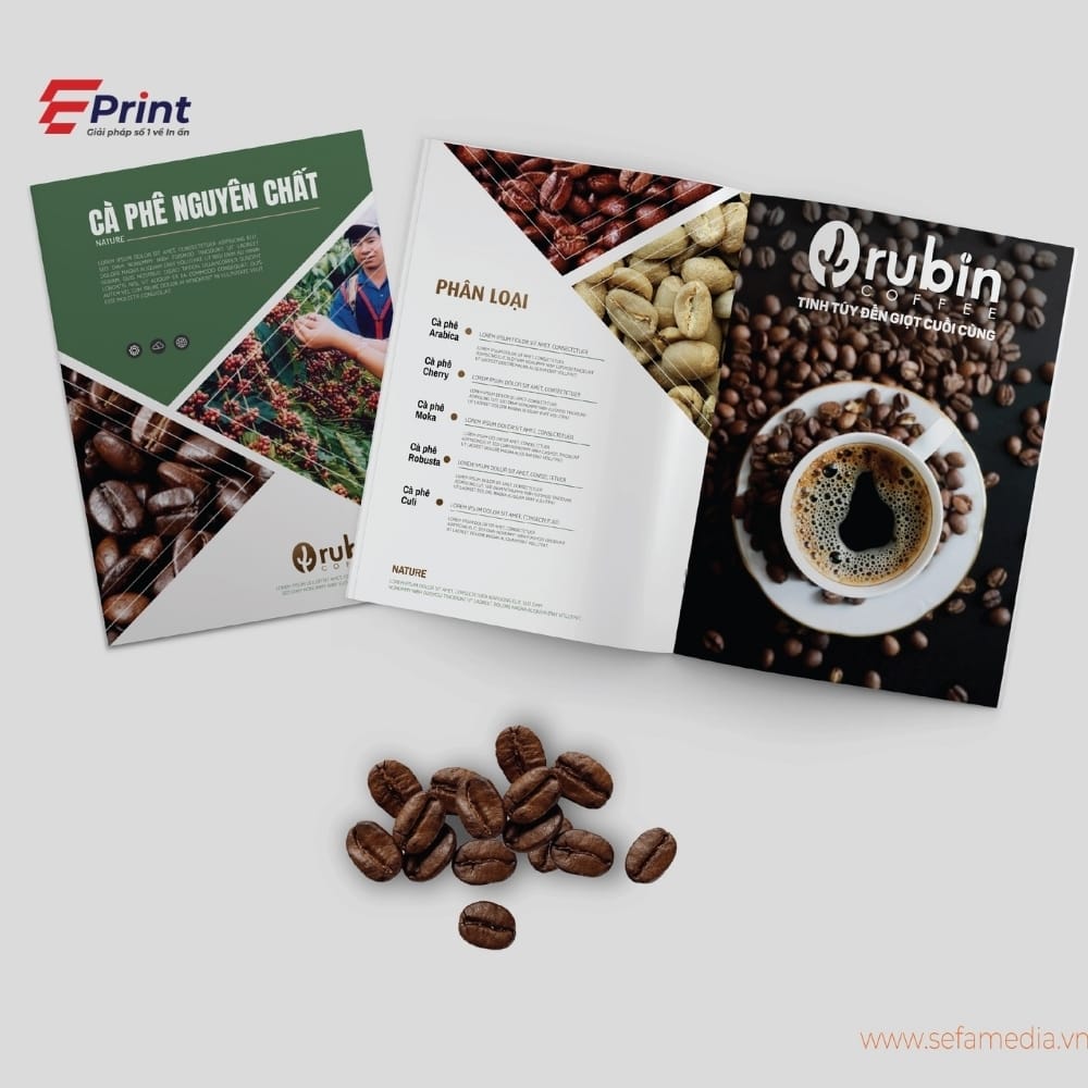 Catalogue doanh nghiệp