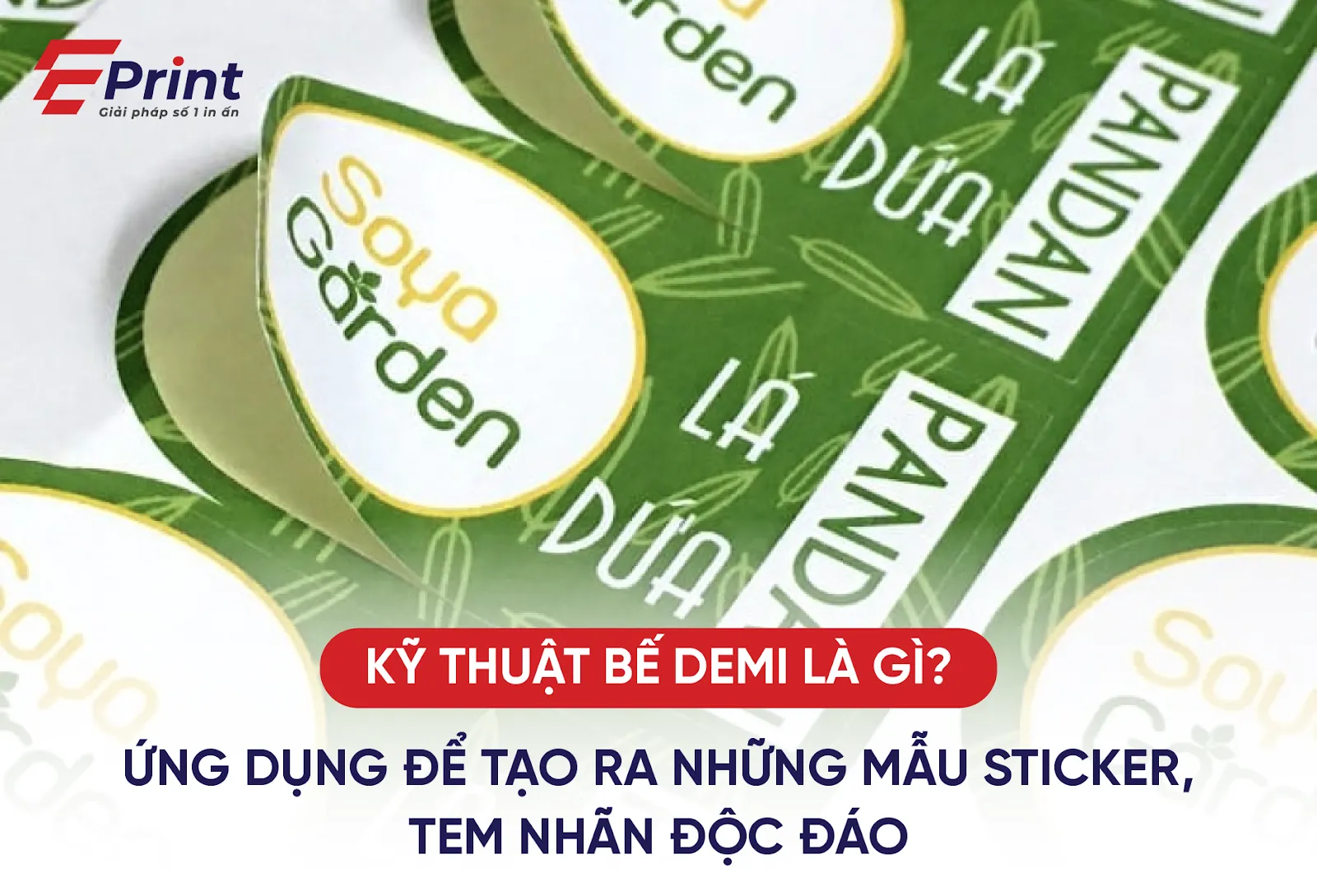 Kỹ thuật Bế Demi
