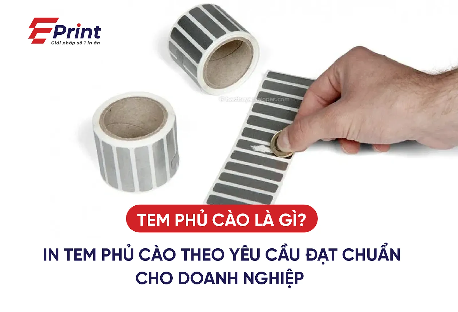 Tem phủ cào