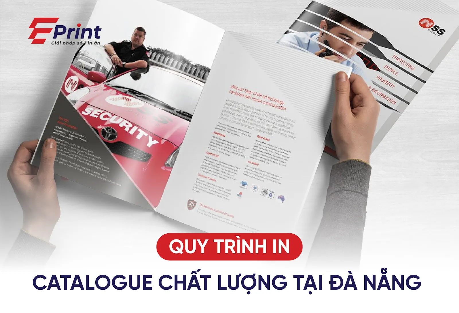 Catalogue doanh nghiệp