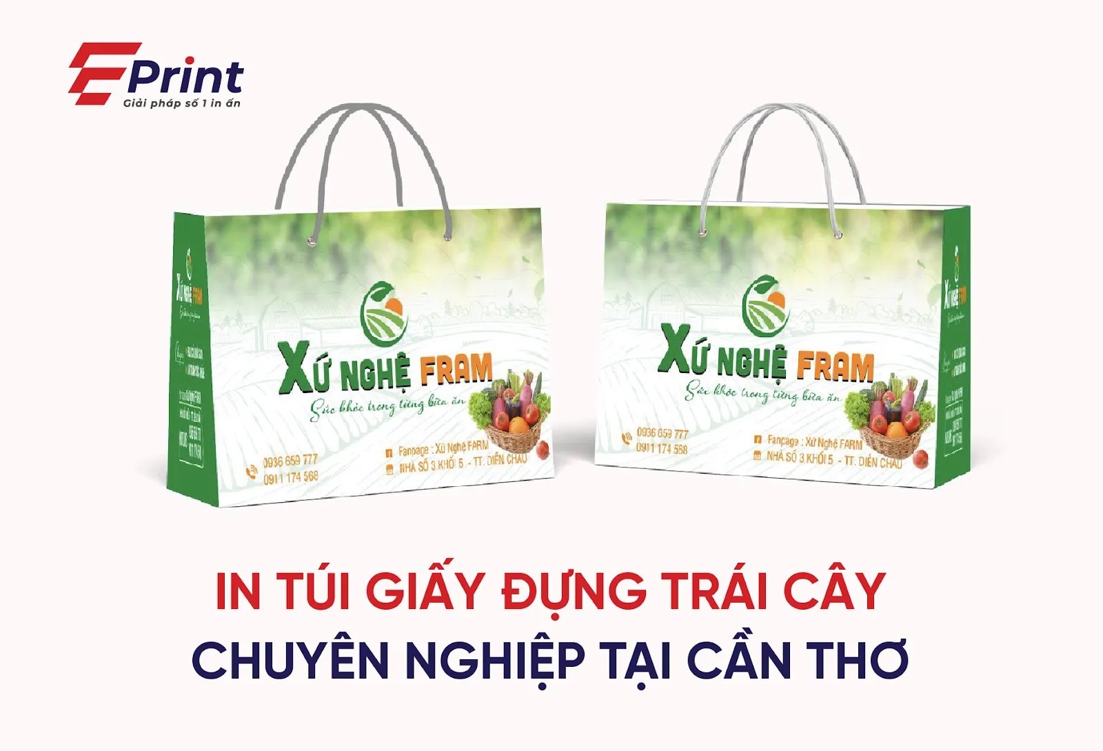 Túi giấy đựng hoa quả
