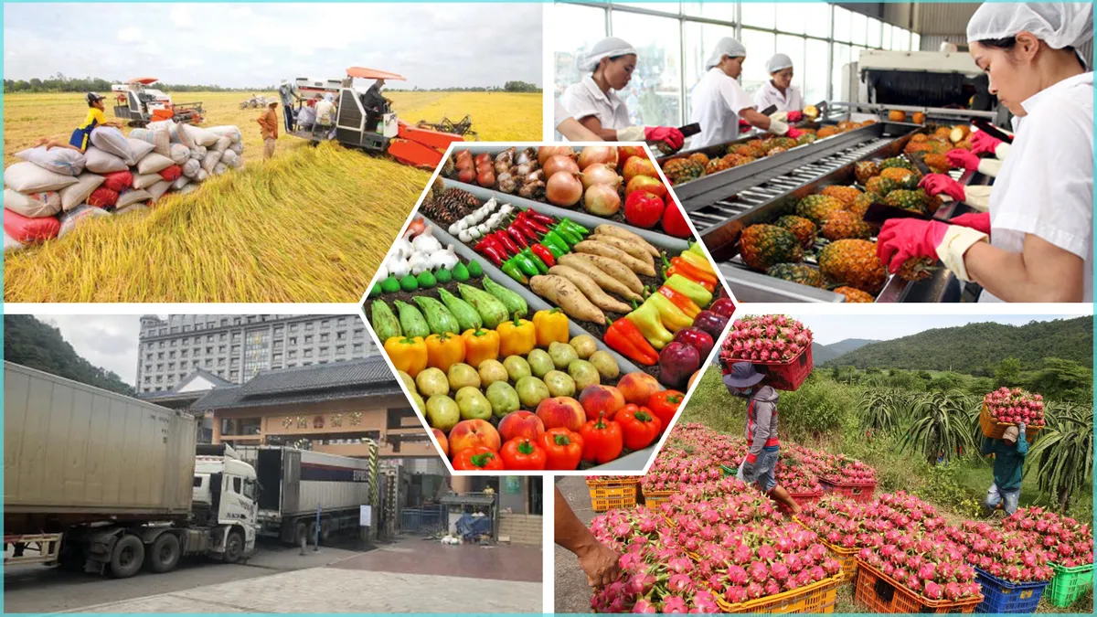 Xu hướng nông sản hữu cơ và vai trò của bao bì xuất khẩu