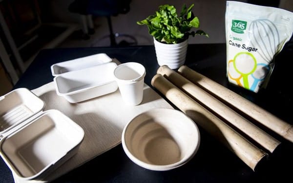 bao bì tự phân hủy sinh học