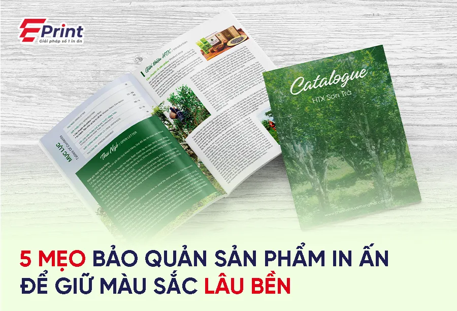5 mẹo bảo quản sản phẩm in ấn