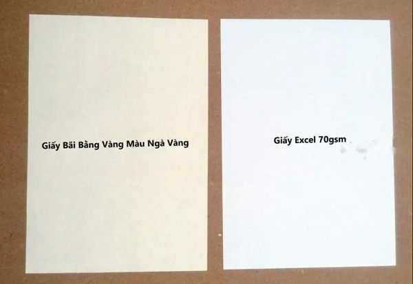 Giấy Bãi Bằng