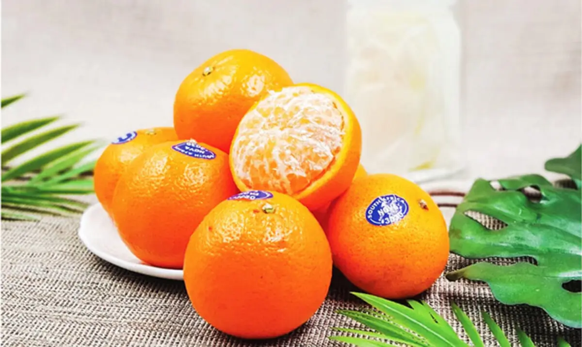 In tem hoa quả chất lượng cao