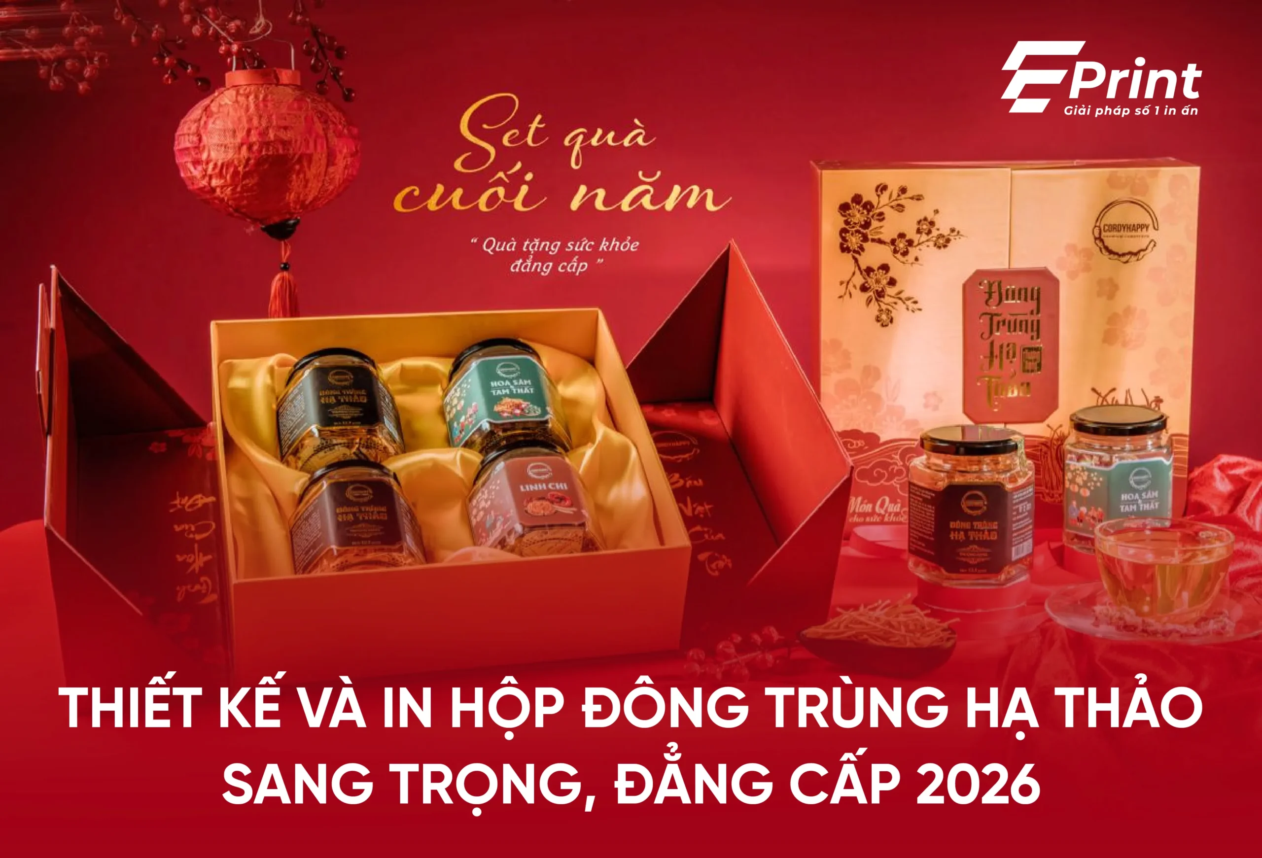 Thiết kế và in hộp Đông Trùng Hạ Thảo sang trọng, đẳng cấp 2026
