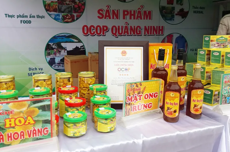 Phát triển bền vững và đồng hành cùng OCOP